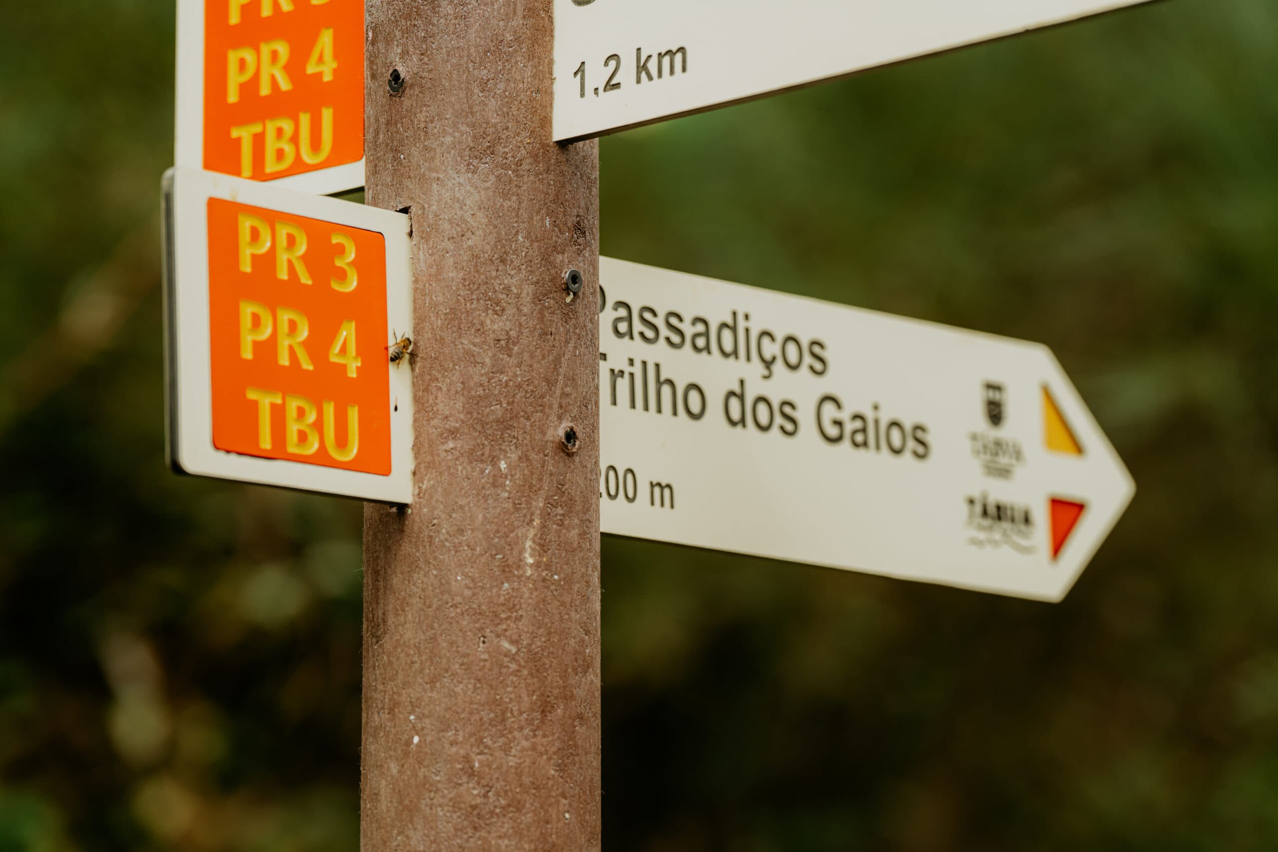 0013-Trilho-dos-Gaios-scaled.jpg