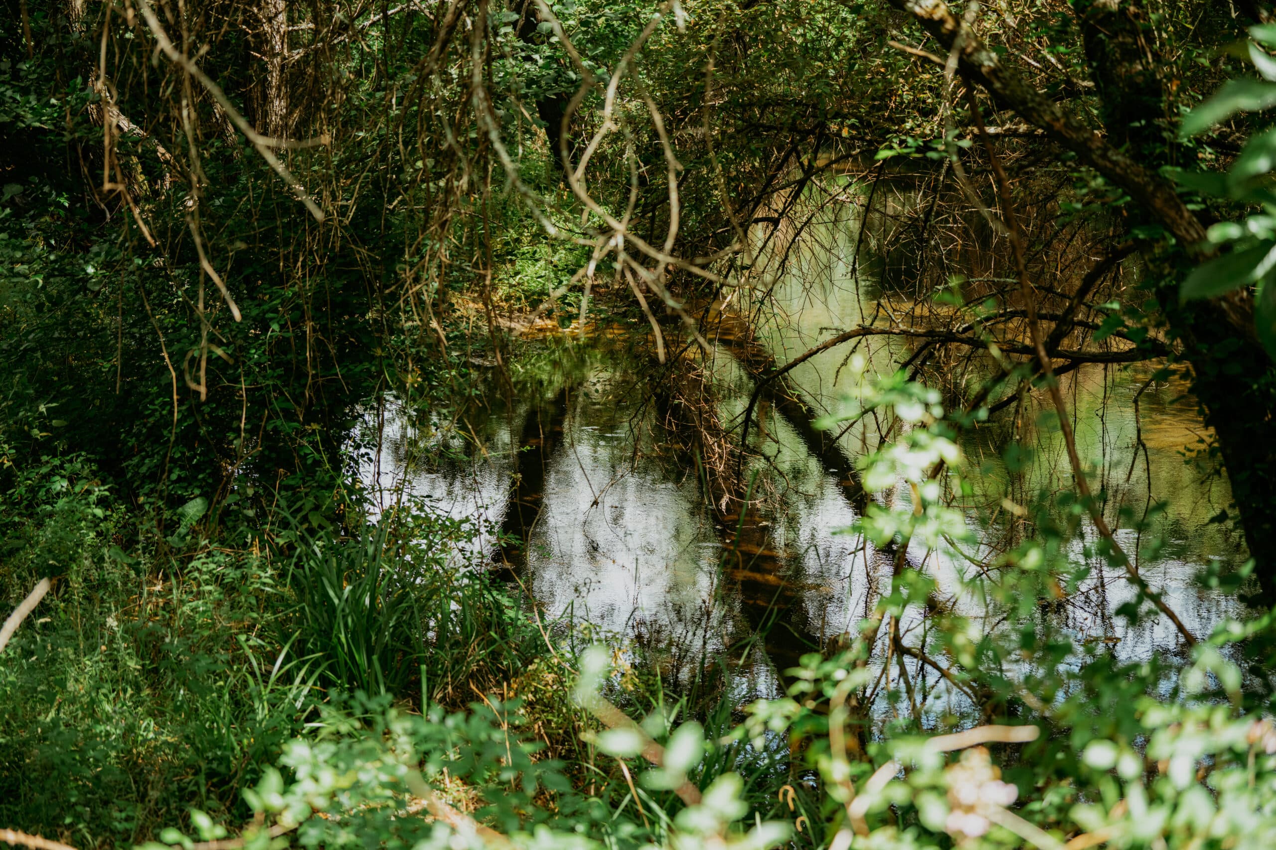 0031-Trilho-dos-Gaios-scaled.jpg