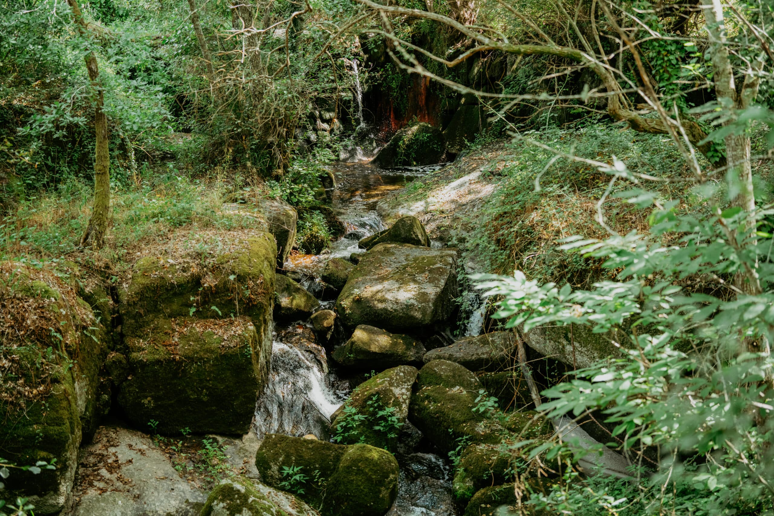 0032-Trilho-dos-Gaios-scaled.jpg
