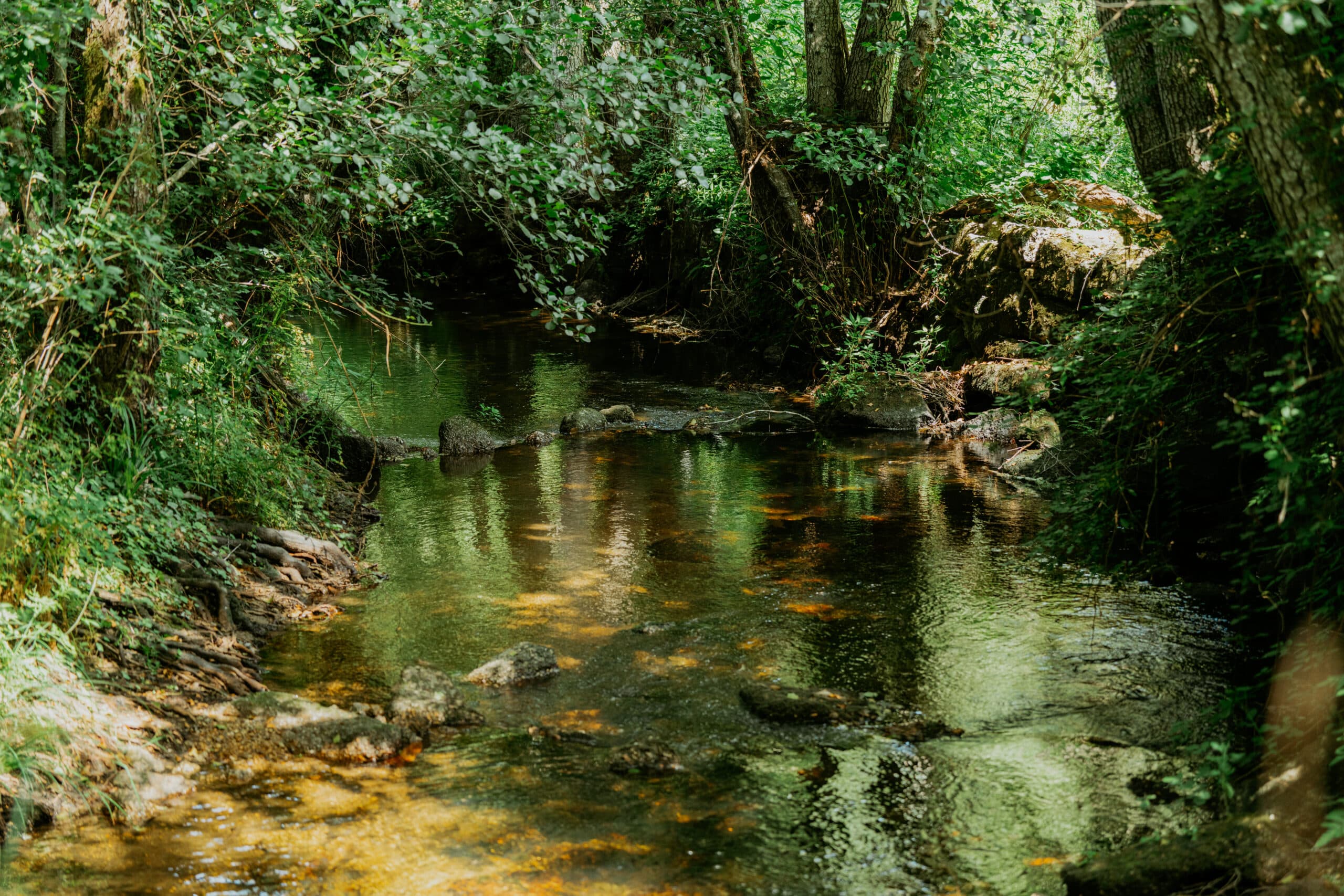 Trilho dos Gaios – Um Percurso com História