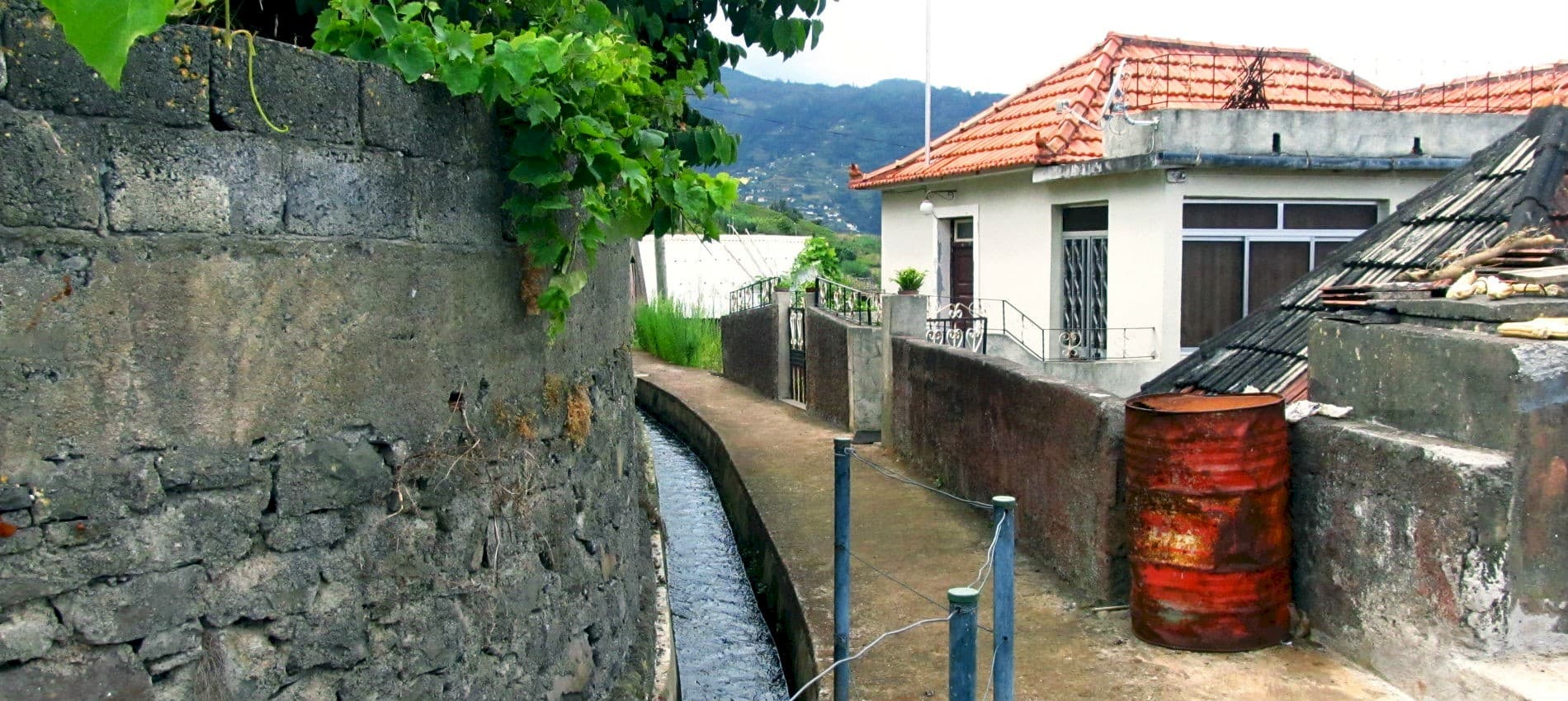 Levada_do_Castelejo__jpg.jpg