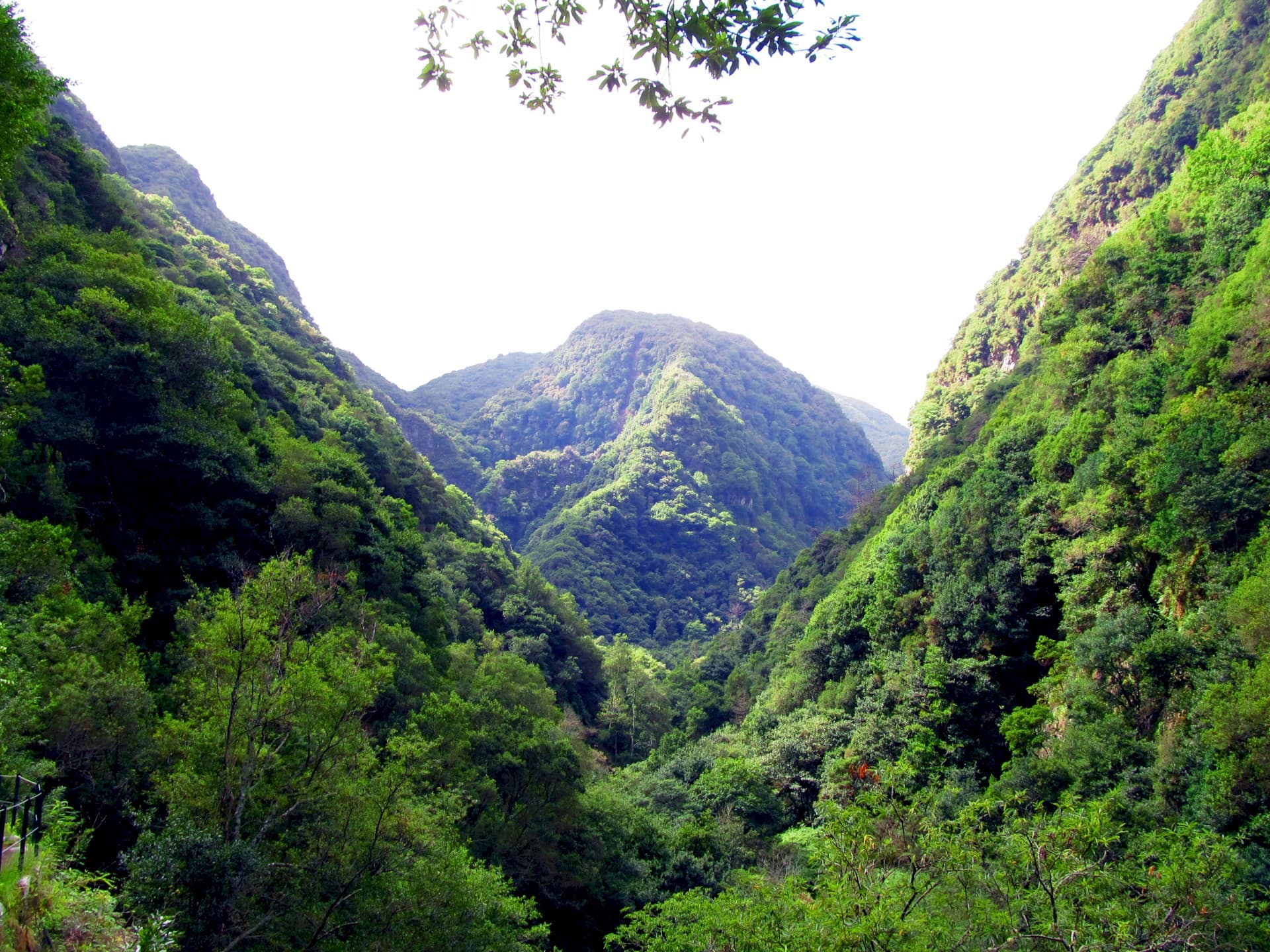Levada_do_Castelejo_4_jpg.jpg